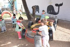 JPG_7114-scaled